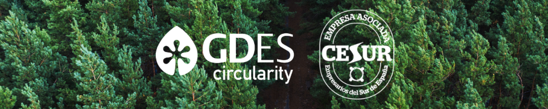gdes circularity