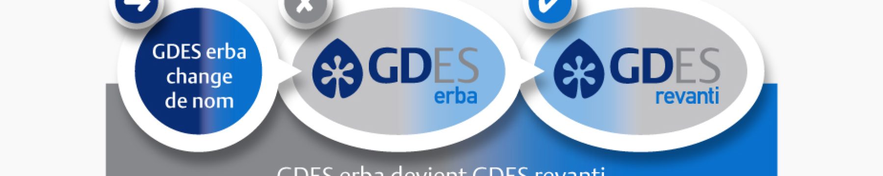 WEB-erba