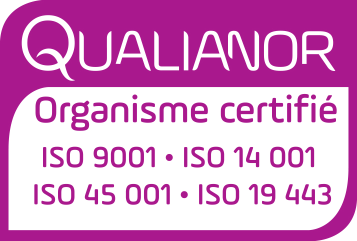 ISO 19443